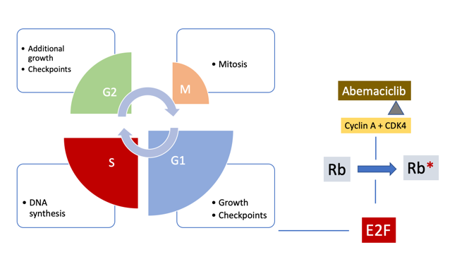 Overcoming Endocrine Resistance in Advanced Breast Cancer